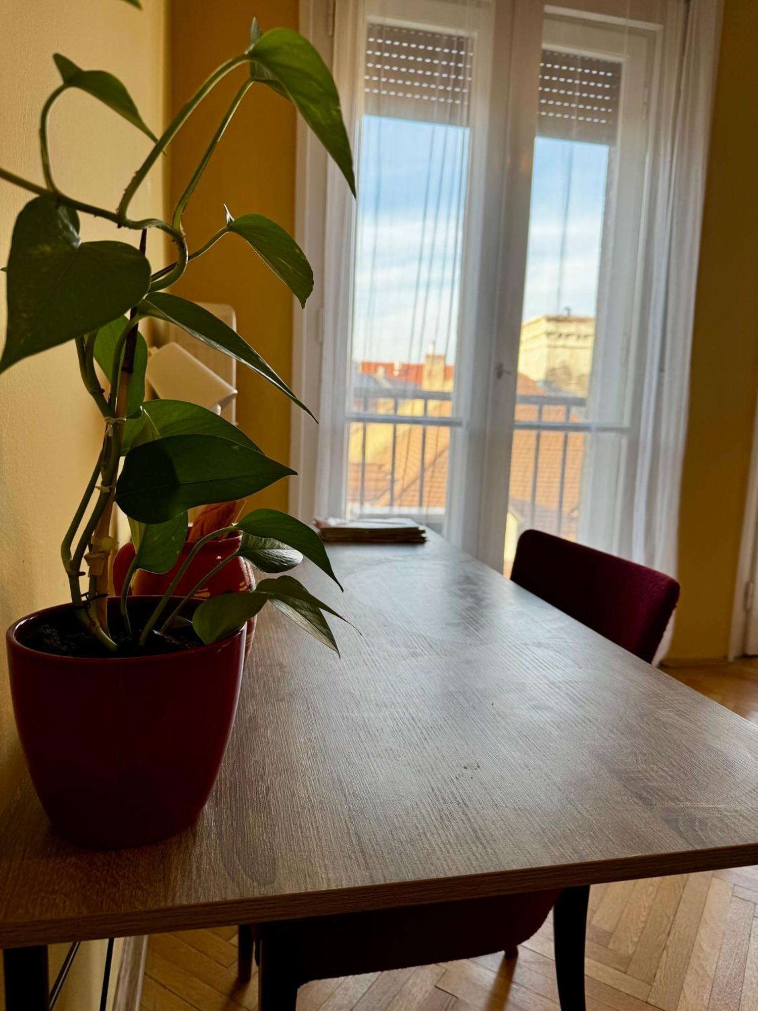 Extralarge Queen Room In The Heart Of Bratislava With Terrace Exterior foto